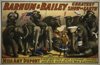 "Barnum & Bailey greatest show on earth circus poster" The New York Public Library Digital Collections. 1915. http://digitalcollections.nypl.org/items/510d47da-4ecf-a3d9-e040-e00a18064a99