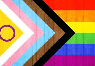 The Intersex Progress LGBTQ+ Flag over wood plank wall texture.